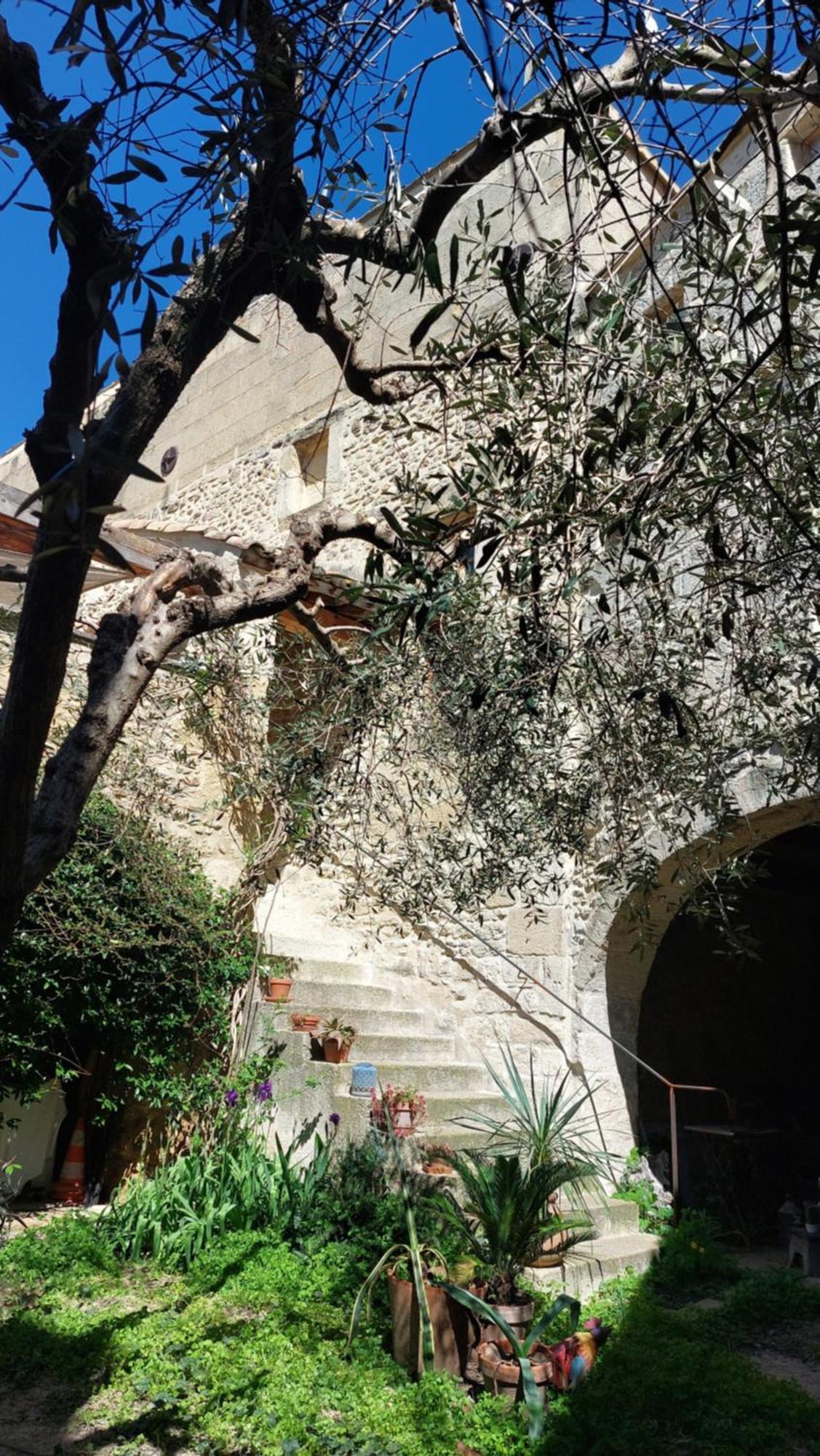Apartamento Le Petit Domeynes Exterior foto