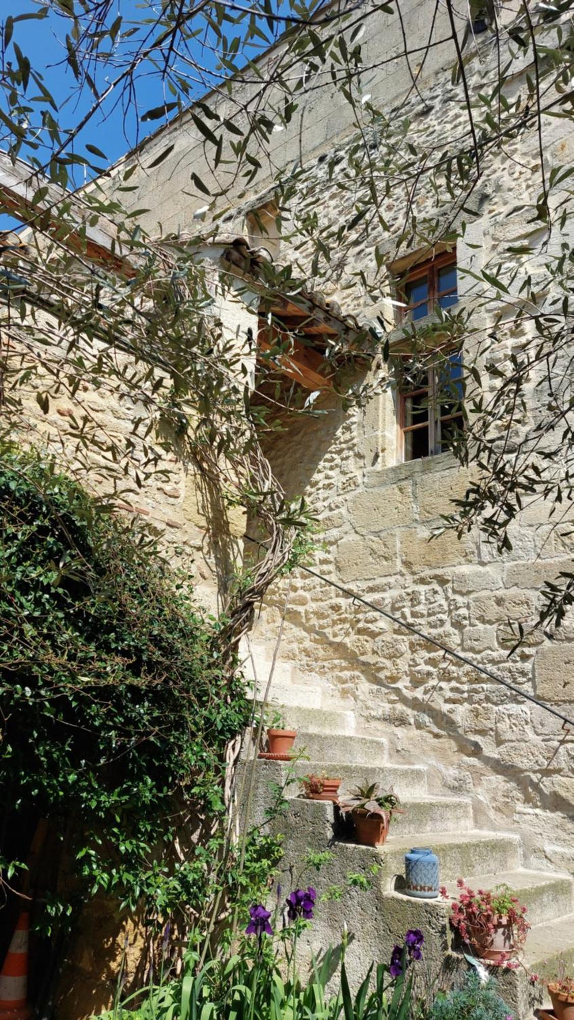 Apartamento Le Petit Domeynes Exterior foto
